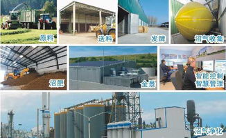 传统沼气工程智能化改造 真商机还是假噱头？